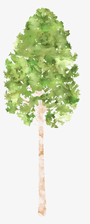 Clipart Tree Watercolor - Watercolor Painting