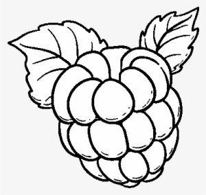 Raspberry Png Black And White Transparent Raspberry - Imagenes De Frambuesa Para Colorear