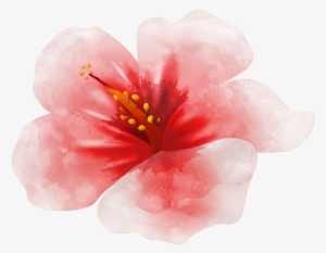 Watercolor Painting Simple Pen Painting Red Flower - Sencillo Pinturas En Acuarela