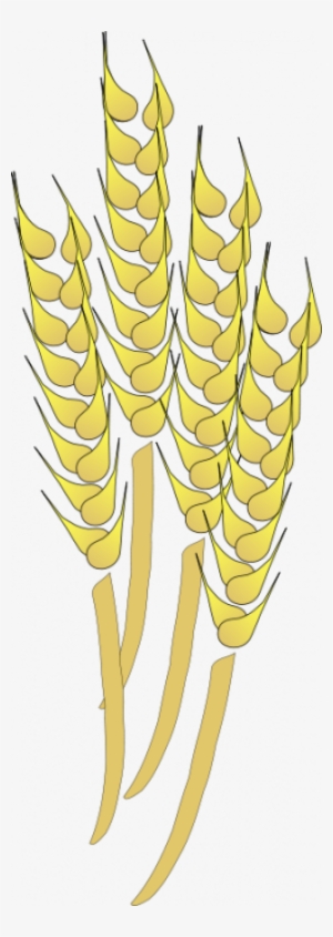 Vector Wheat Psd - Wheat Clip Art