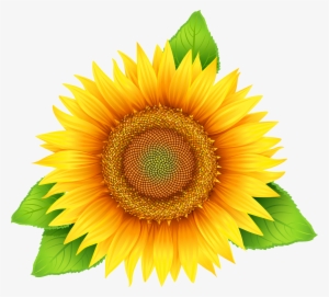 Sunflowers Png Leave - Sun Flower Vector Png