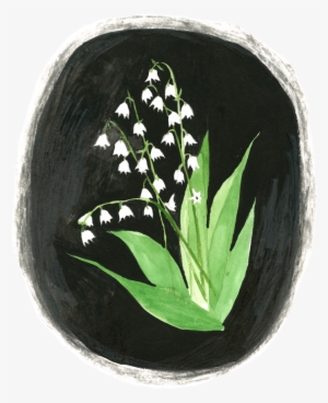 Lindsay Gardner - Illustration