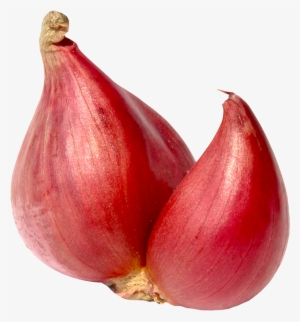 Shallot Onion Png Image - Shallot Onion Png