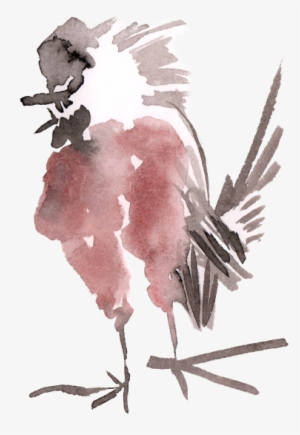 Watercolor Painting Of A Bird - Drawing