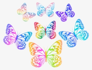 Multicolored Butterflies Png Clip Art Flutterbys - Mein Fantastisches Leben - Von Wegen!