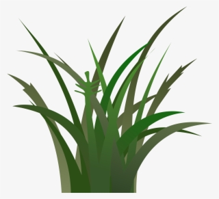 Cartoon Grass Texture - Grass Clipart