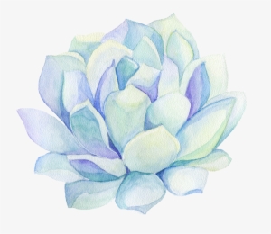 Freetoedit Ftestickers Watercolor Cactus Flower Decorat - Succulent Plant