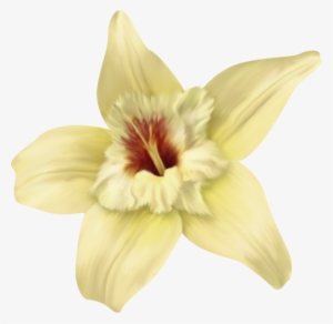 Fleurs - Page