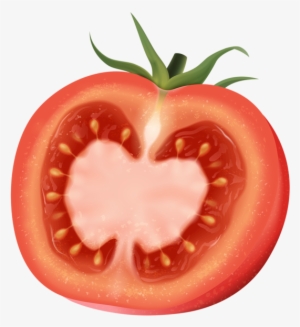 Jpg Stock Plum Art Clip Transprent Png Free - Half Of A Tomato