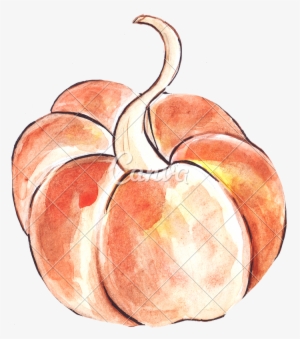 Watercolor Pumpkins Png - Drawing