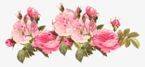 Rose Clipart Png Tumblr - Pink Roses Vintage Png