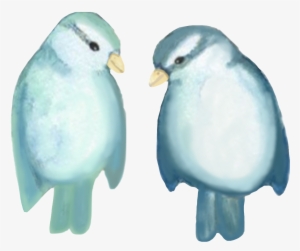 Two Birds Watercolor Couple Blue Freetoedit - Watercolor Painting