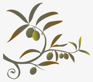 Branch Png Siren Song Of The Counter - Olive Branch Free Clip Art