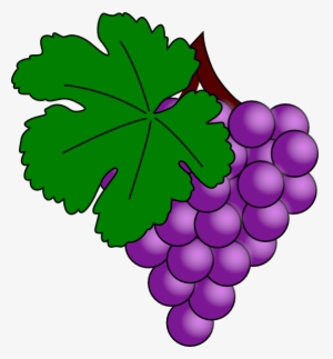 Clip Art Grape