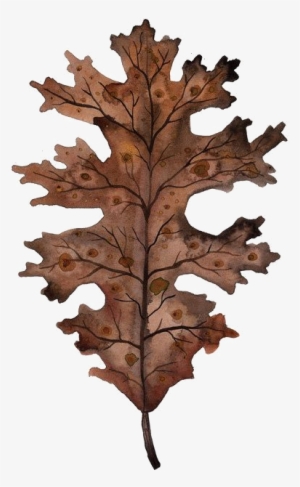 Explore Watercolor Print, Watercolour Painting, And - Watercolor Painting