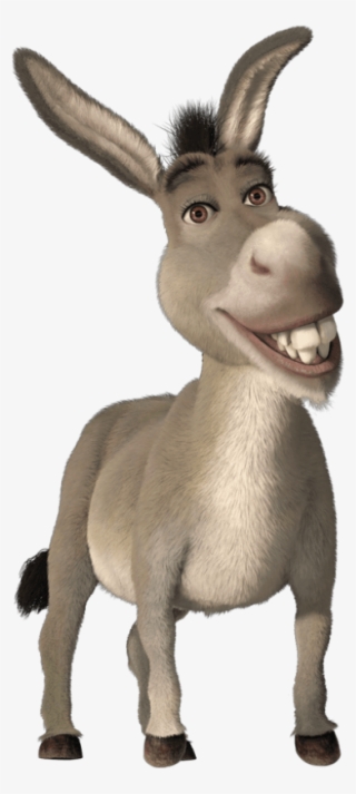 File History - Donkey From Shrek