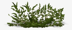 Bushes Png Image Background - Bushes Vector Transparent