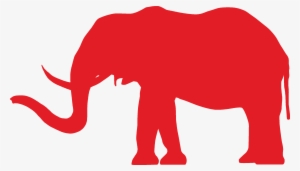 Conservative Elephant
