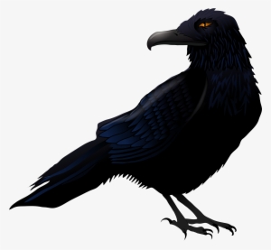 Raven Clipart Png