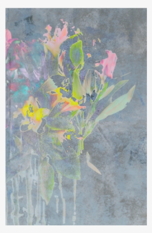 Cotton Candy Flowers - Flower