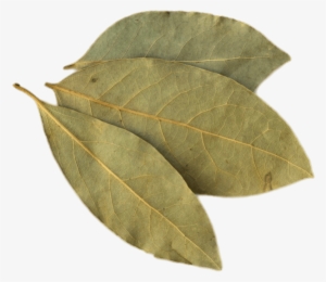 Bay Leaf - Uses Of Peepal Leaves