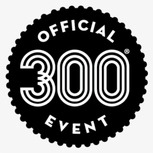 Sa300logo