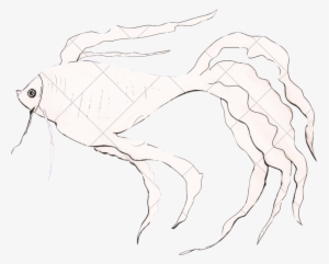 Illustration Drawing Goldfish - Drawing