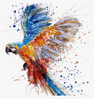 Parrot Watercolor Painting Drawing Art - Tattoo Arara Aquarela
