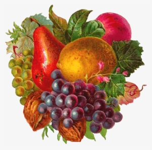 Fruit Water Splash Clipart Woman - Free Vintage Clip Art Fruit