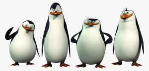 Madagascar Penguins Png - Penguins Of Madagascar