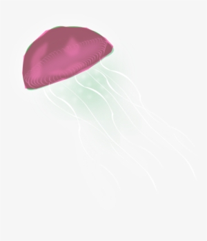Small - Beanie