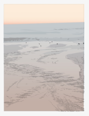 Sandpipers - Shore