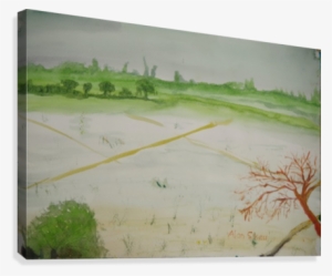 Rice Fields - Painting