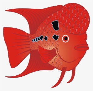 This Free Icons Png Design Of Red Goldfish