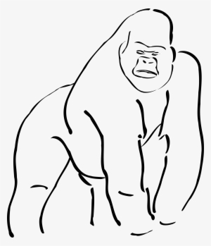 Gorilla Png
