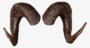 Rams Horns Png - Ram Horn Png