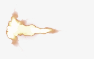 Download - Marine Invertebrates