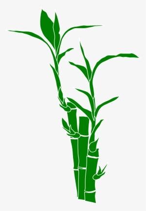 Download And Use Bamboo Png Clipart - Bamboo Clipart Png