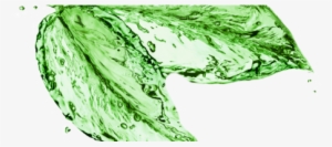 What Are Your Alternatives To The Dangerous Dry Cleaning - Leaf Splash