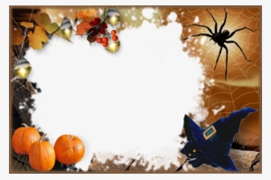 Halloween With Black Kitten - Halloween Spider