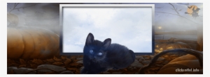 Transpa Halloween Frame Facebook Cover Clickandlol