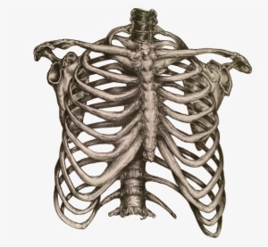 Https Static Squarespace Com - Art