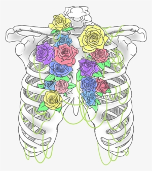 Svg Freeuse Download Pastel By Draikinator On Deviantart - Rib Cage In Flower