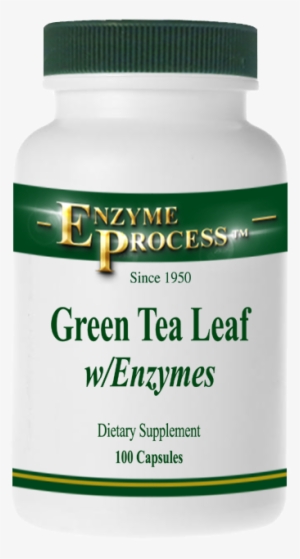 Green Tea Leaf 100 Capsules - Enzyme Process International Alkaplex Green - Superfood