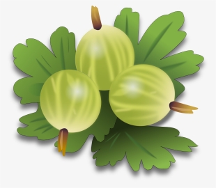 Clipart Png Related To Green Tea Leaf