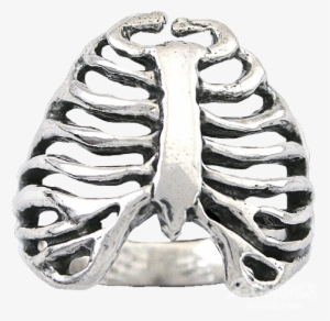 Sterling Silver Rib Cage Ring - Raven Blackwood Zombie Rib Cage Ring In 14k White Gold