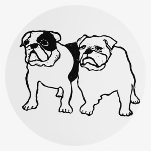 Hugo Guinness Bulldog