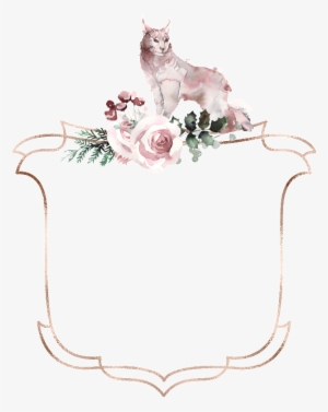 This Graphics Is Creative Monkey Box Transparent Watercolor - Watercolor Painting