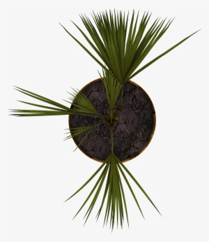 Planta06 - Directory