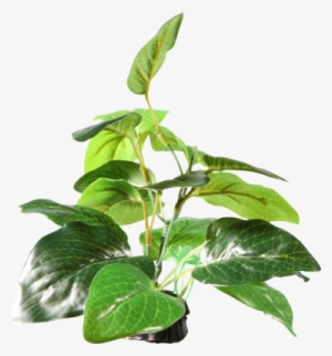 Esta Hermosa Planta Decorativa Fluval Aporta Un Aspecto - Fluval Artificial Plants Uk